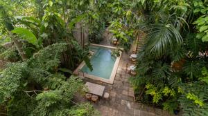 an overhead view of a swimming pool in a garden at Hostal Poquito a Poquito in Valladolid