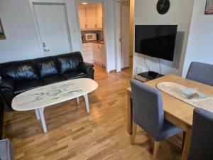 TV a/nebo společenská místnost v ubytování Apartment Bergen Central