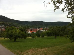 a park with trees and a town in the distance at Ferienwohnung Heike in Dettingen an der Erms