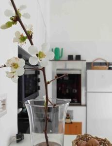 a flower in a vase on a table at 19gradini in Putignano