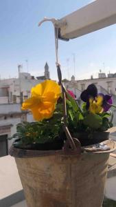 a potted plant with flowers in a pot at 19gradini in Putignano