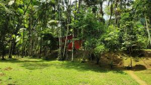a red house in the middle of a forest at Quartos em sítio exuberante in Barra Grande