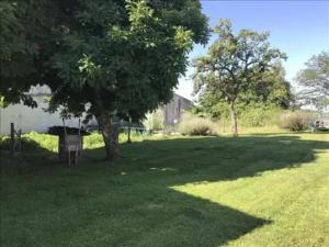 a green yard with a tree in the shade at Luna in La Coquille
