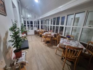 Un lugar para sentarse en The Monkey Puzzle