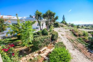 A garden outside Orchard View Cottage