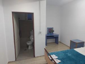 a room with a bathroom with a toilet and a bed at Casa Emilia Ana Maria in Recaş