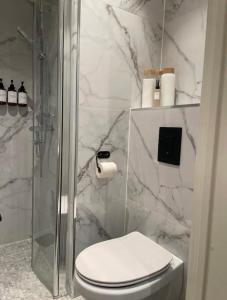 a white bathroom with a toilet and a shower at Plaza Havstad in Trondheim