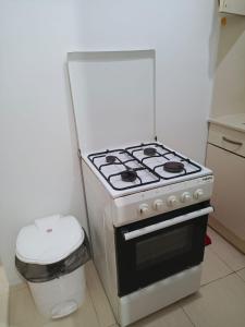 Kuchyň nebo kuchyňský kout v ubytování rose apartment