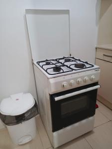 Kuchyň nebo kuchyňský kout v ubytování rose apartment