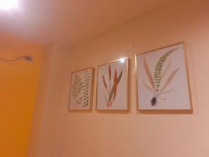 Fotografie z fotogalerie ubytování Irabella Travellers Inn v destinaci Dipolog