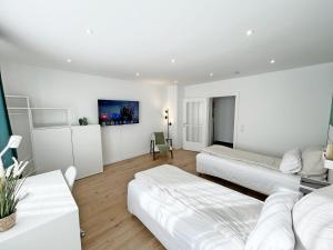 TV a/nebo společenská místnost v ubytování Goldstadt Apartments Pforzheim