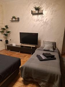 Postel nebo postele na pokoji v ubytování Amazing apartman in Bele Vode