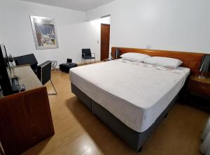 een slaapkamer met een bed en een televisie. bij Hotel Germânia in Joinville +136 foto's