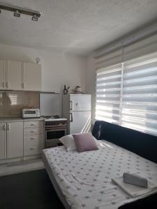 Η κουζίνα ή μικρή κουζίνα στο Apartmani Lipa +19 φωτογραφίες