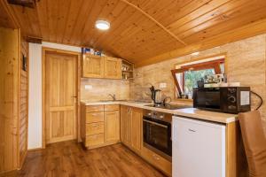 a kitchen with a stove and a microwave at Peace Creek in Slunj