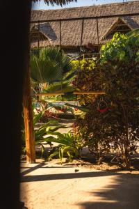 a view of a garden with plants and a building at The Garden in Paje