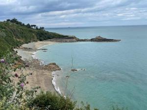 una isla en el océano junto a una playa en Charmante dépendance T3 vue Mer, en Binic