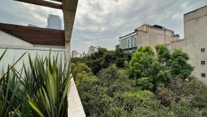 a view of a city with buildings and trees at Suites Giorgio in Mexico City