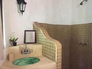 莫雷洛斯港Jolie Jungle Eco Hotel的一间带绿色水槽和镜子的浴室