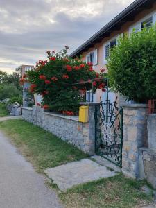 Vonkajšia záhrada v ubytovaní Apartments with parking spaces Seline, Paklenica - 17390