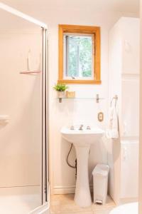 Le Paresseux - flanc de montagne - vue imprenable sur le lac في Saint Come: حمام أبيض مع حوض ودش