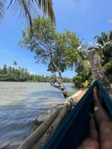 a person paddling a boat down the river at riVer in Pelena +35 photos