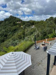 תמונה מהגלריה של Ferrous Paradise - Tiny Container home in Adjuntas באדחונטס