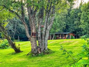 Zahrada ubytování Moose twin cabin