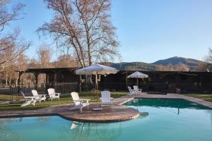 a group of chairs and umbrellas next to a pool at Alpine Inn in Khancoban