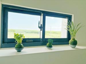 Imagine din galeria proprietății Tidal Stream Sea View B&B în Magong