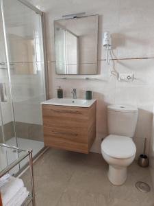 a bathroom with a toilet and a sink and a shower at CASA DIEGO PUERTO BLANQUILLO in Frigiliana
