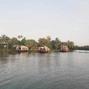 a group of houses on a river with palm trees at The RiverBells -An Island Stay in Alleppey +11 photos