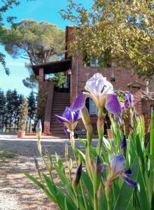 Zahrada ubytování Agriturismo La Terra