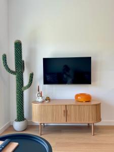 a living room with a tv and a cactus at Apartament Premium No 5 - Faktura VAT - Targi Kielce - Parking - Blisko Terenów Zielonych - NEW in Kielce