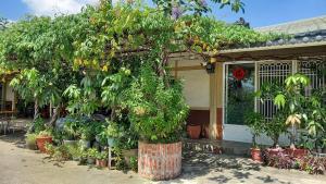 Joel's Garden 悠爾庭園古厝民宿外面的花园