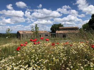 Zahrada ubytování Podere l'Alfina B&B - Bio Agriturismo