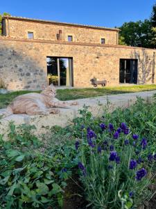 Zahrada ubytování Podere l'Alfina B&B - Bio Agriturismo