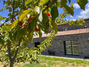 Zahrada ubytování Podere l'Alfina B&B - Bio Agriturismo