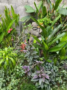 Zahrada ubytování Kope House Ubud