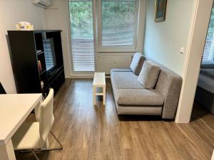 a living room with a couch and a table at Všemina apartmán 31 in Všemina