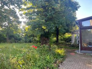 a tree in a garden next to a house at Unterkunft Mozart Magdeburg in Magdeburg
