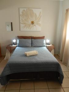 Una cama en un dormitorio con una almohada. en Brand Guesthouse, en Colesberg