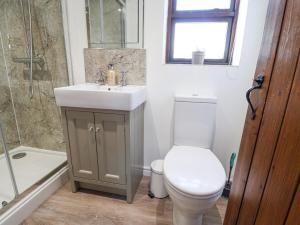 un bagno con wc, lavandino e doccia di Coach Cottage a Colyton Altre 19 foto
