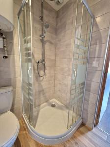 a shower with a glass door next to a toilet at Pontarlier Centre Historique 3ème - Ma Petite Résa in Pontarlier +6 photos