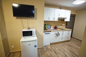 A kitchen or kitchenette at Nice accommodation in Mikulov