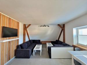 Telewizja i/lub zestaw kina domowego w obiekcie Apartamenty Promyk Wisełka