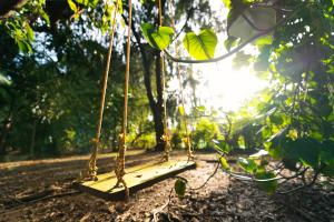 eine Schaukel in einem Wald mit der Sonne in der Unterkunft SaffronStays Biccode Woodside Heritage in Belūr + 51 Fotos