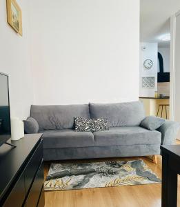 a living room with a gray couch and a rug at Małe Garbary 8 Apartment in Poznań