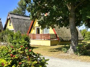 a yellow house with a thatched roof and a tree at Finnhütte 7 Mönchgut in Lobbe