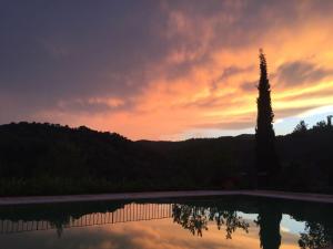 Naturlandskabet i nærheden af lejligheden